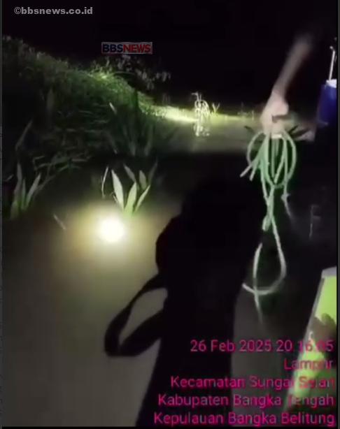 Kejadian Tragis di Muara Sungaiselan: Seorang Pria Paruh Baya Tewas Akibat Serangan Buaya